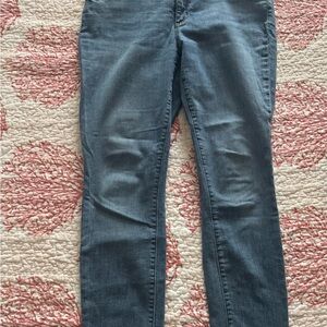 Ann Taylor Blue Skinny Jeans Classic Fit